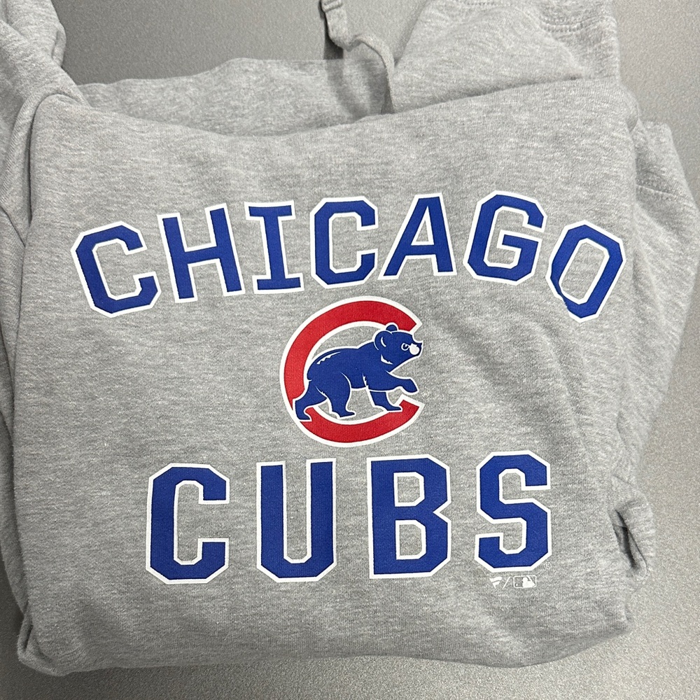 Chicago Cubs Gray Hoodie